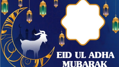 Best Eid Mubarak Wishes and Messages for 2024